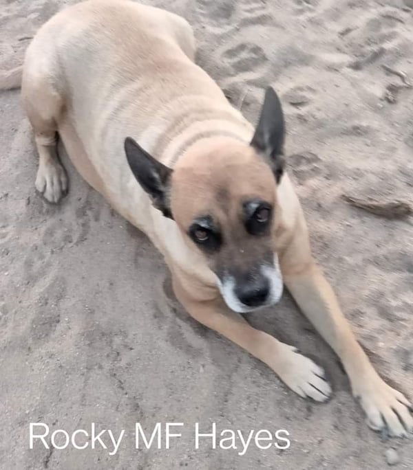 Rockford ("Rocky") Hayes
