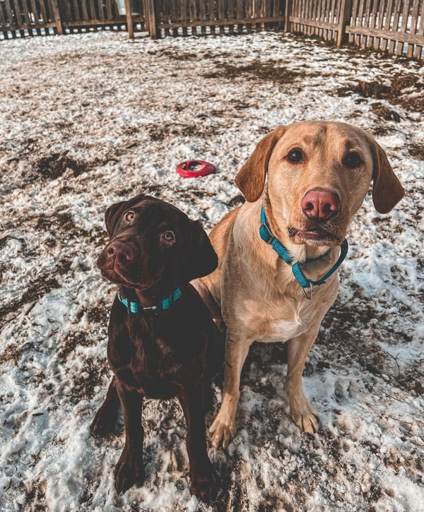 Murphy and Fisher