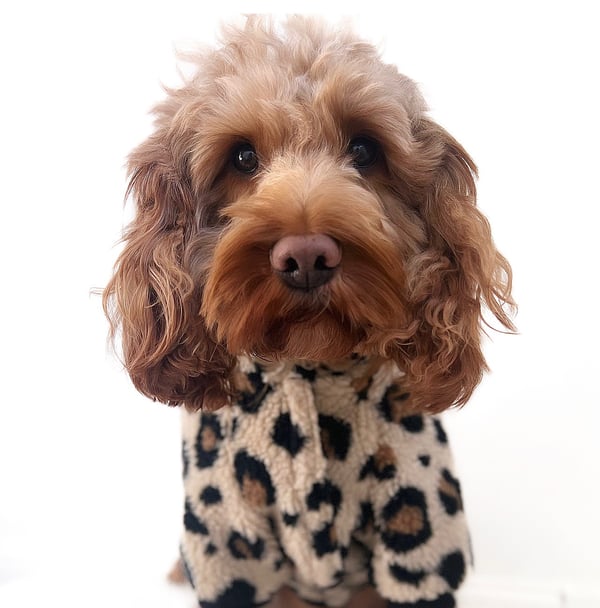 Milo