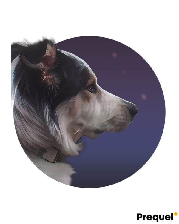 schuyler