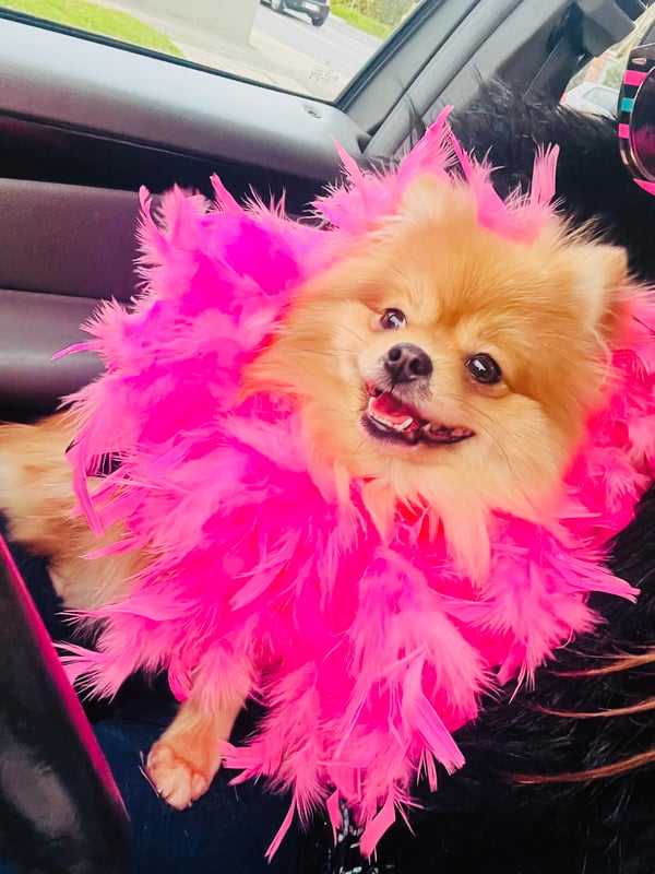 Chanel Honey Bear