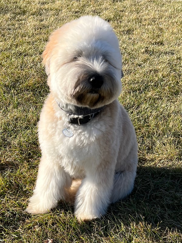 Fletcher