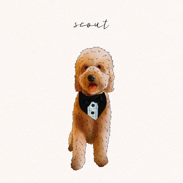 Scout