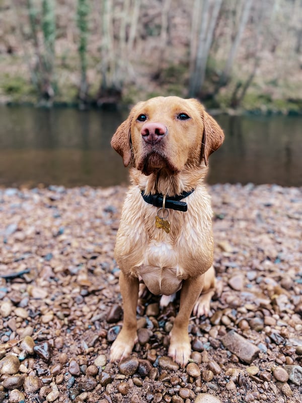 Oakley
