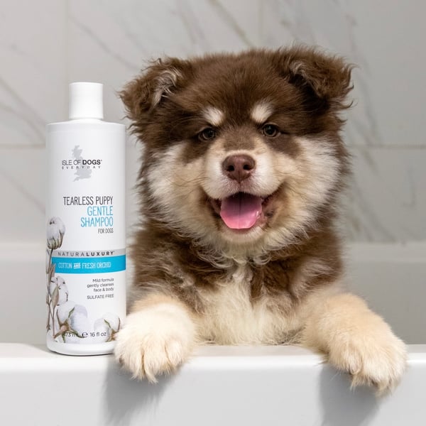 Loki