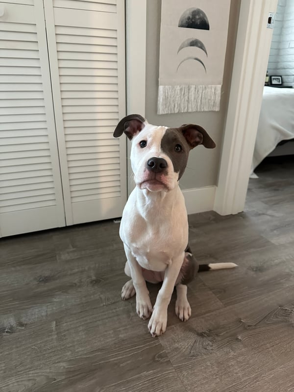 Luna