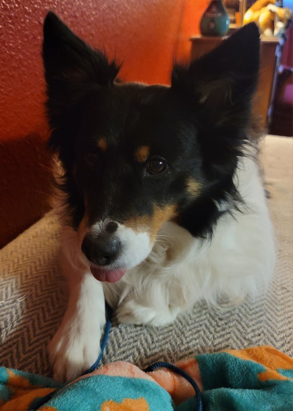 Patches