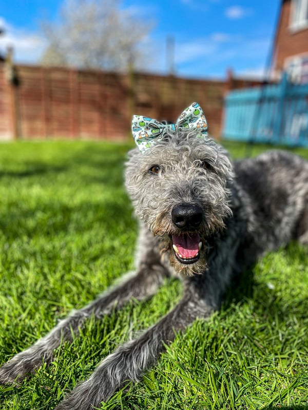 Oakley