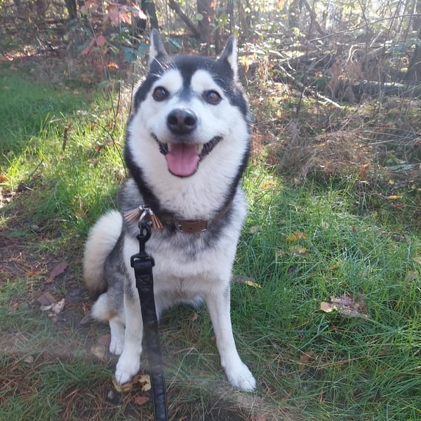 Luna