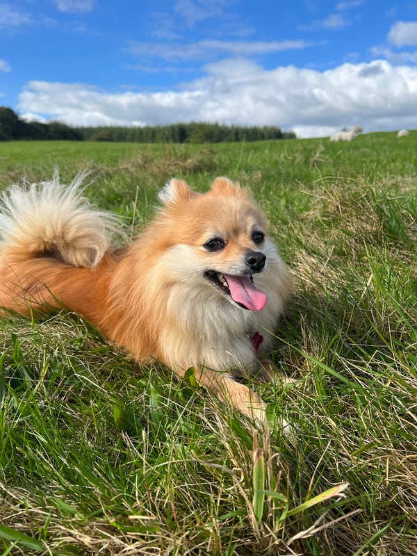 Riley