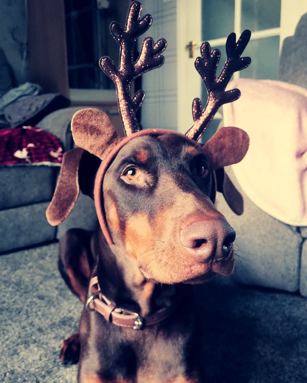 Odin