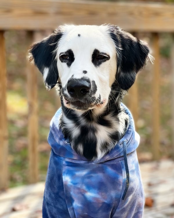 Ryder