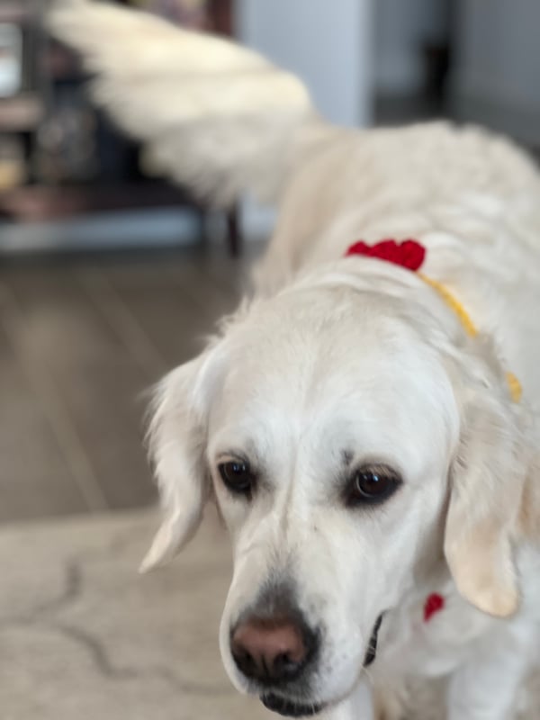Riley