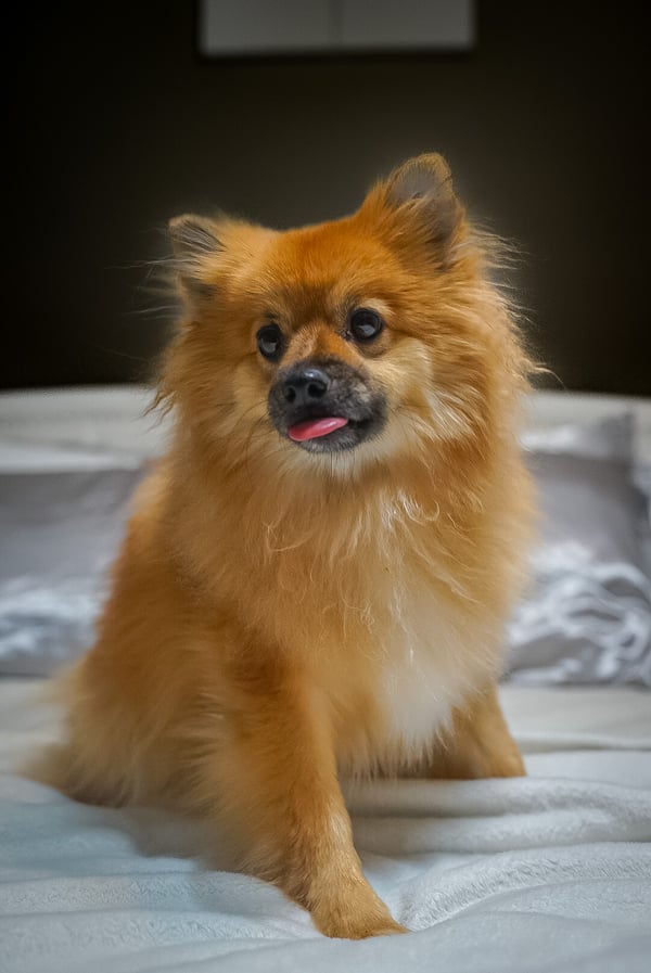 Puffy