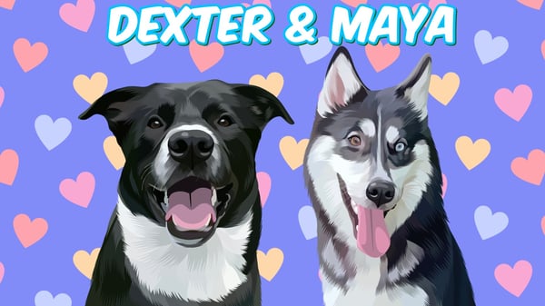 Dexter & Maya