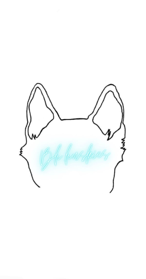 Koda