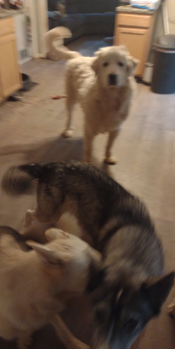 Karma