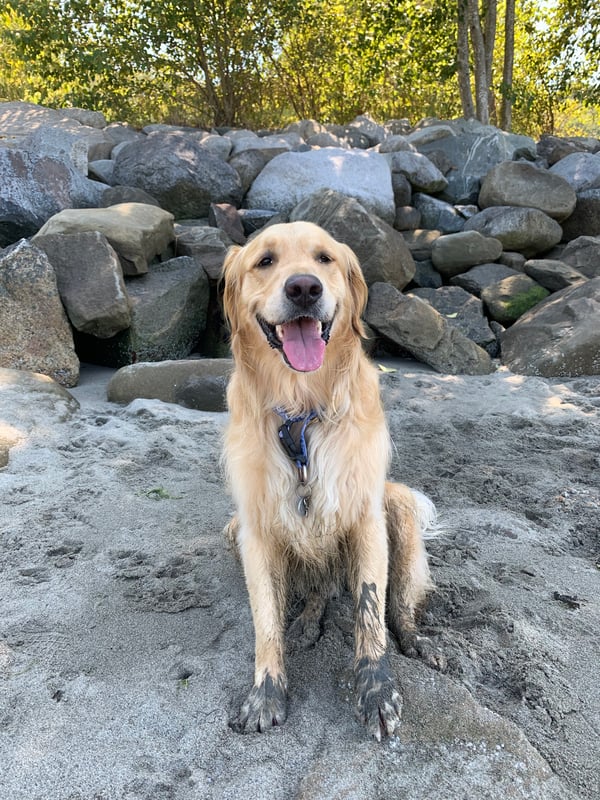milo