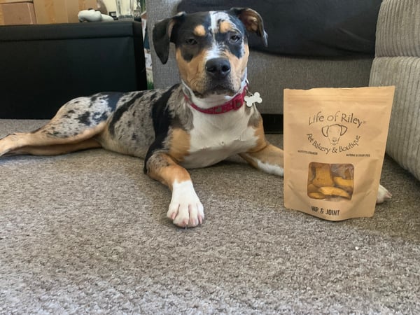 Miss Shelby
