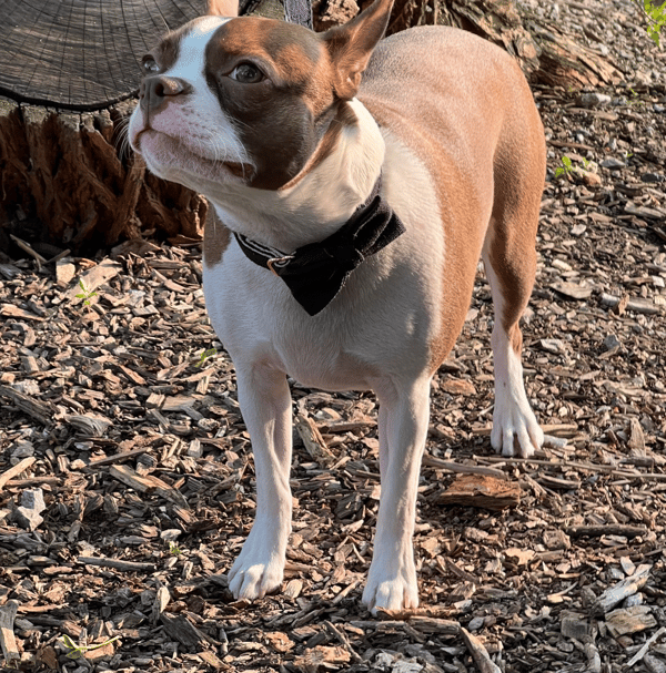 Winnie