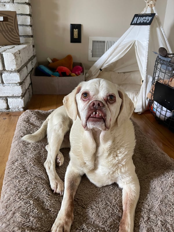 Mugsy