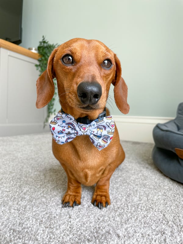 Alan