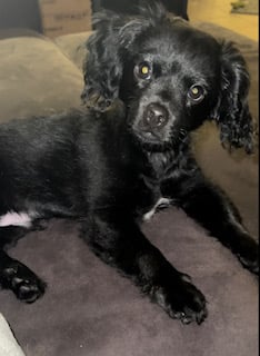 Max