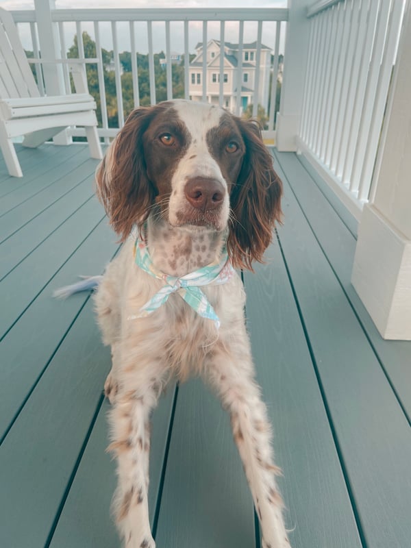 Marlie