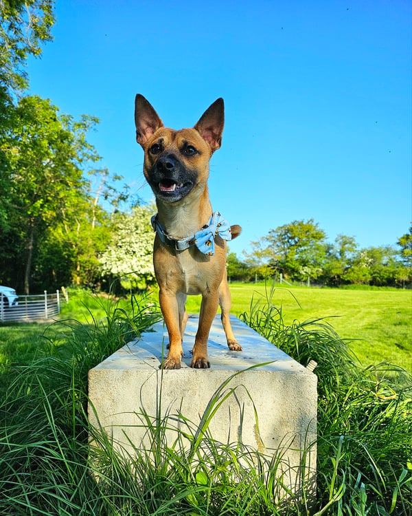 Jax