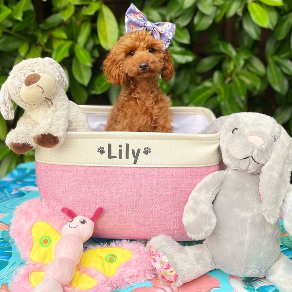 Lily