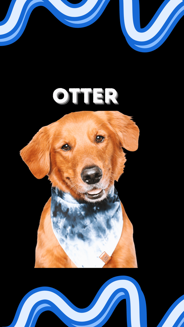 Otter