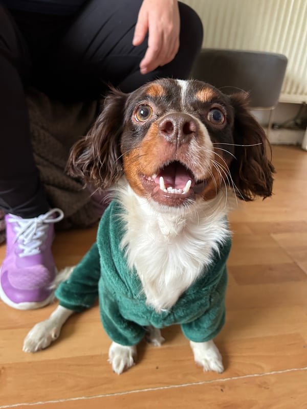 Charlie