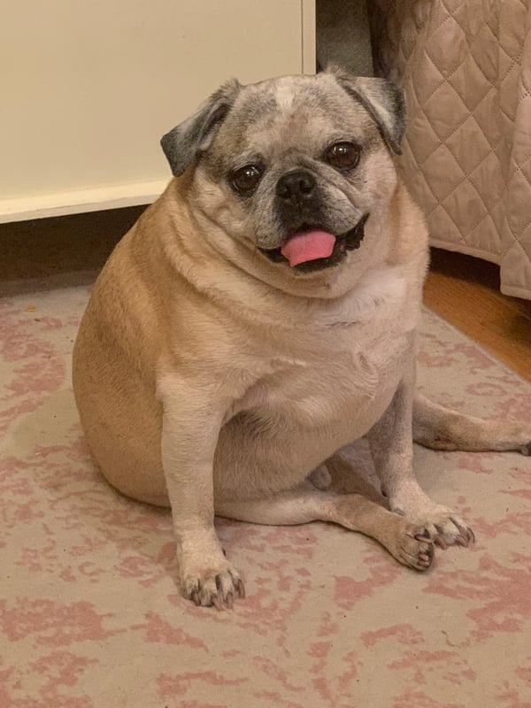 Gus
