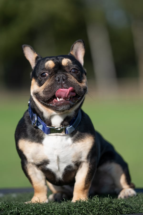 Max