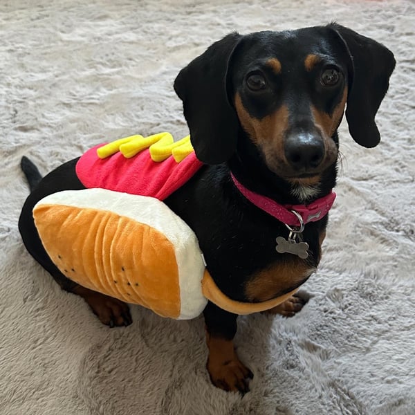Elsie