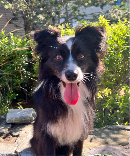 Maizee