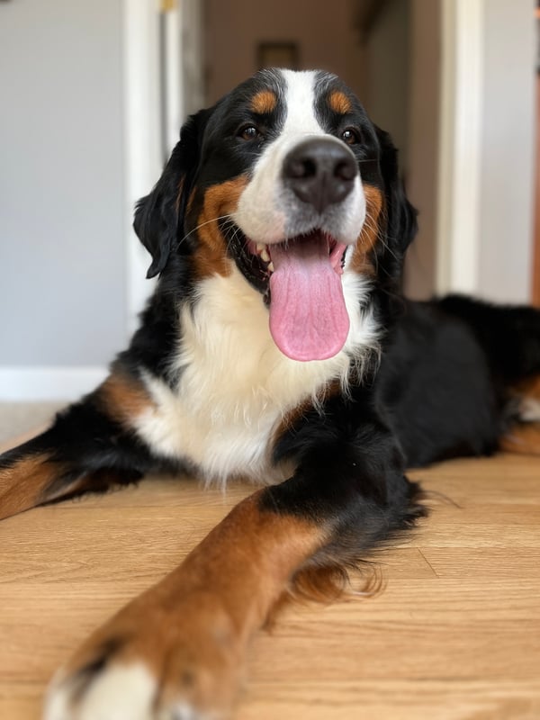 MacGregor