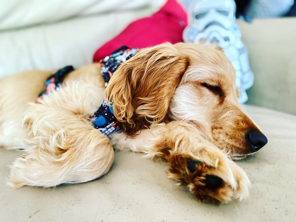 Charlie