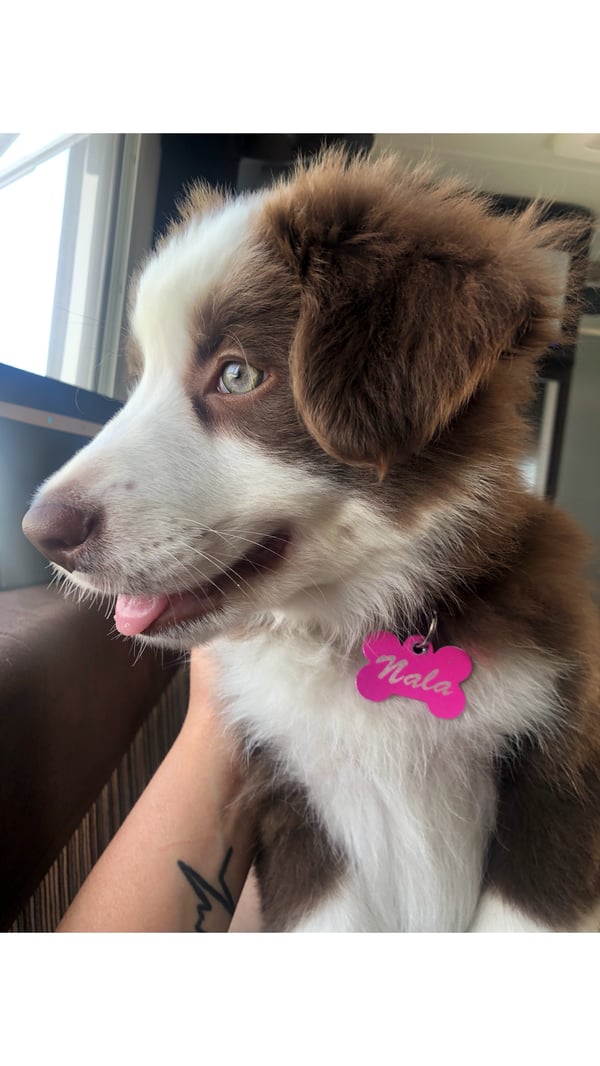 Nala