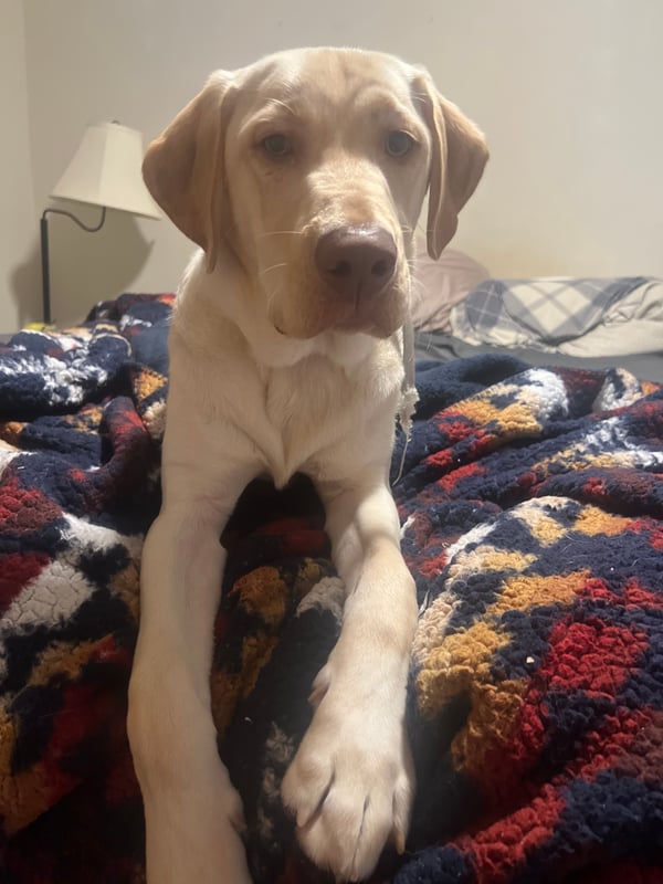 Barry