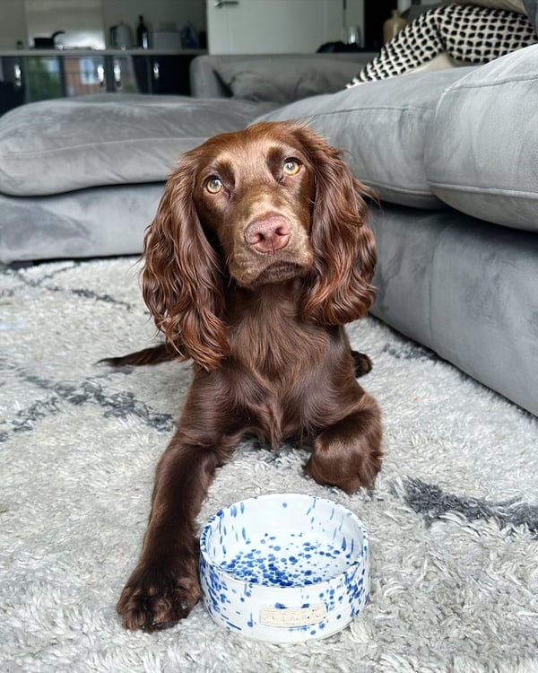 Milly