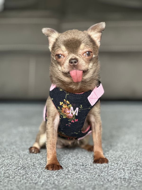 Minnie