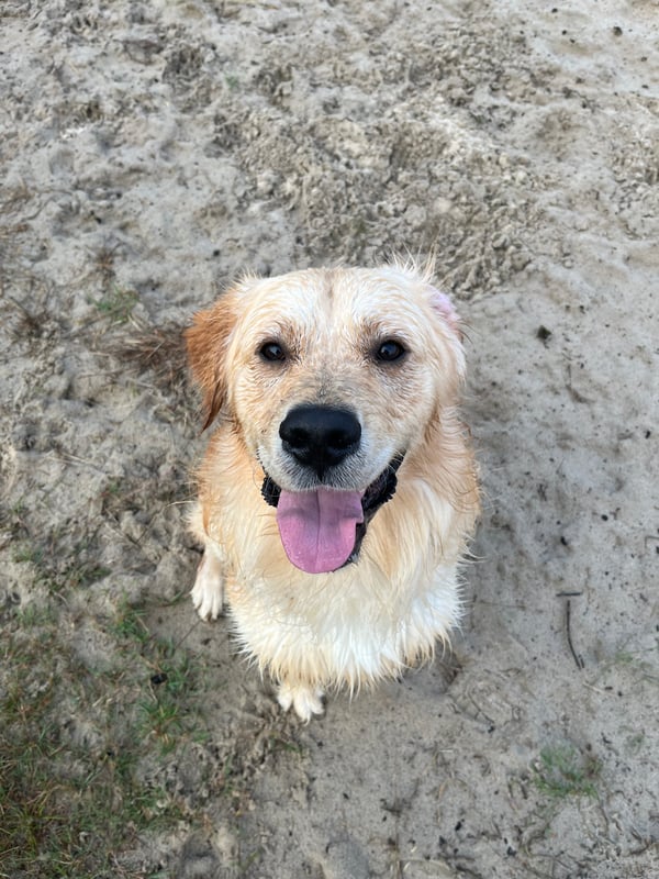 Milo