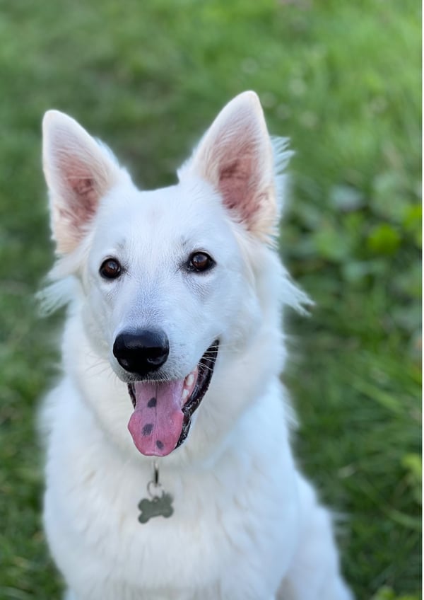 Yuki