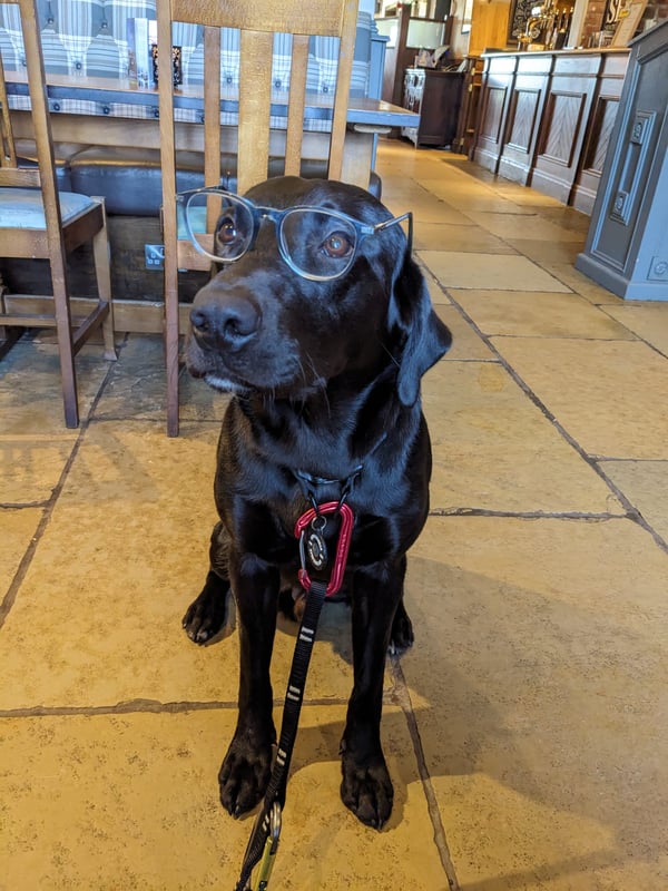 Dexter