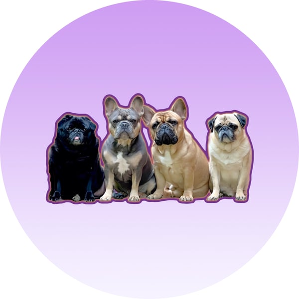 Meatball, Butterball, Ethel & Rufus