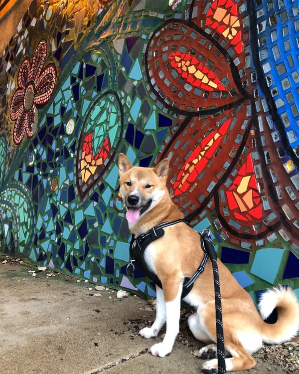 Bolt