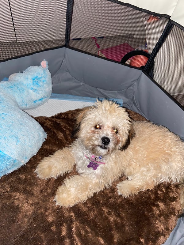 Coco