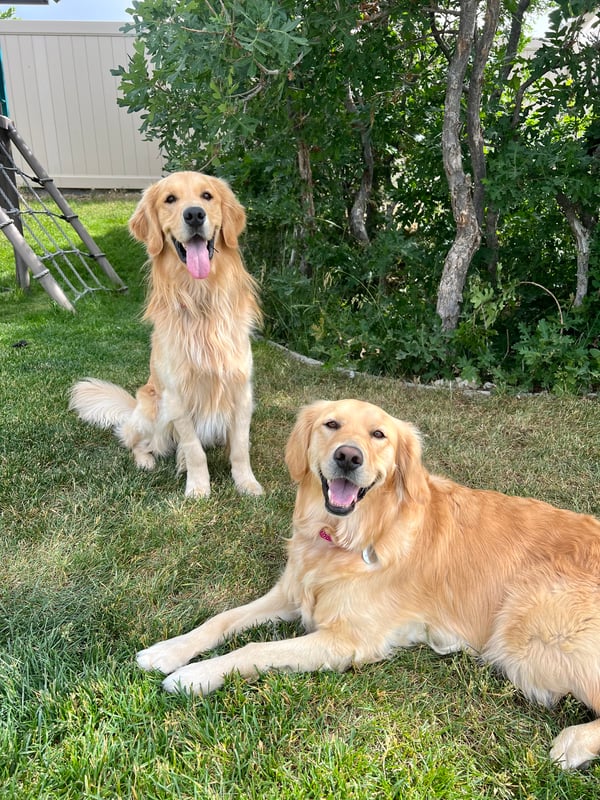 Jackson and Penny
