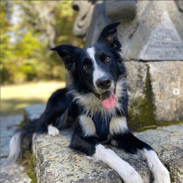 Rune